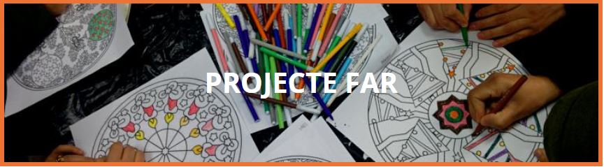 Projecte FAR web